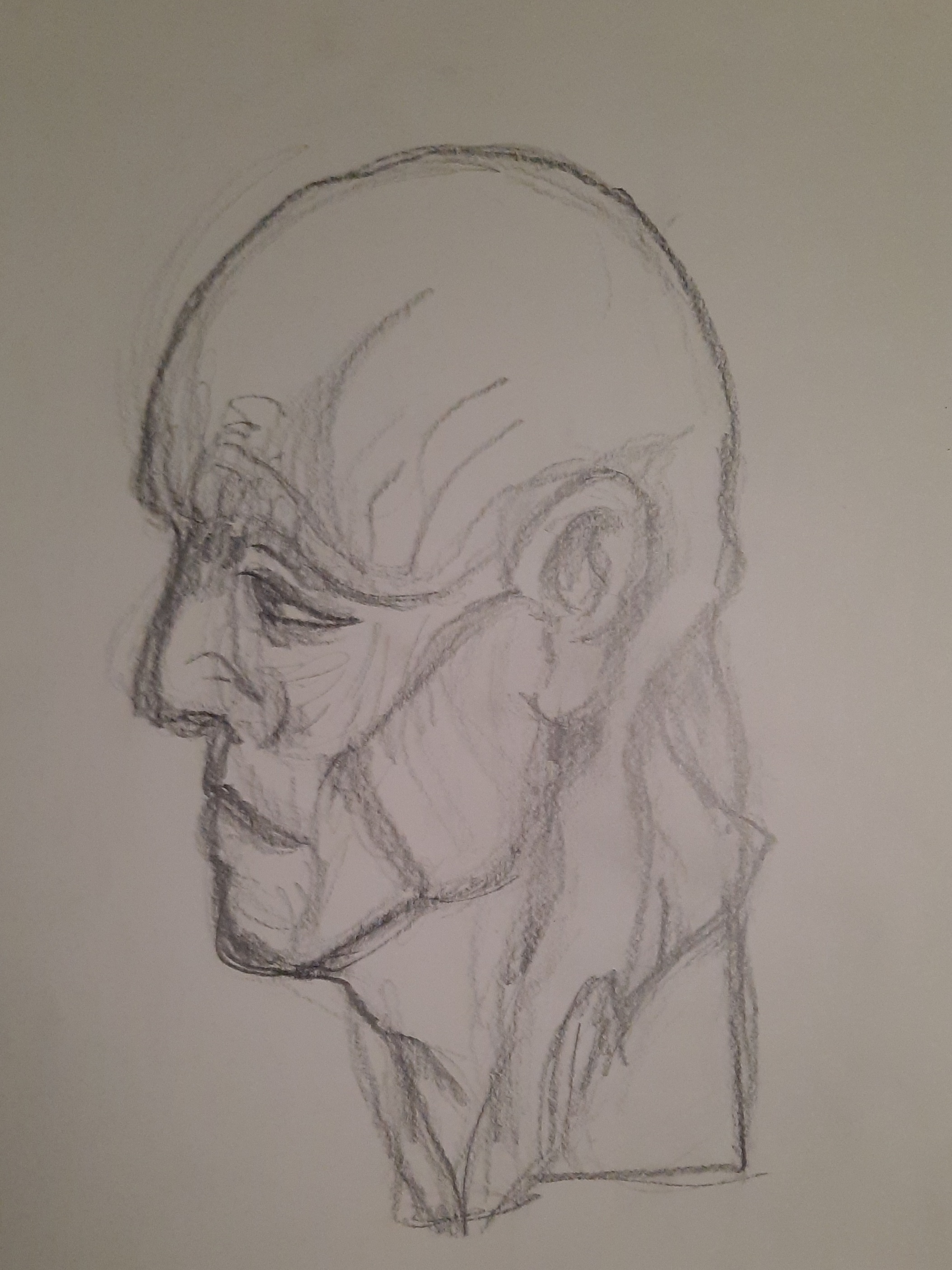A graphite drawing of the head of an older man